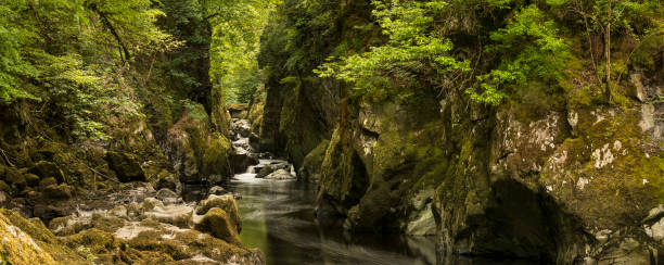 istock Stunning landscape panorama with river flowing through deep sided gorge with vibrant green foliage 806771198