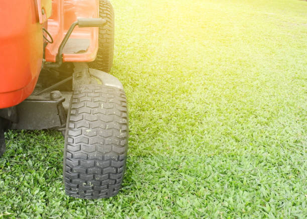istock Mowing or cutting the long grass with a green lawn mower with burst light 806782712