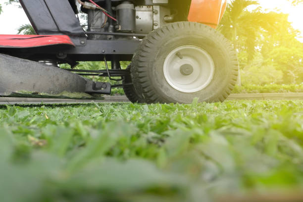 istock Mowing or cutting the long grass with a green lawn mower with burst light 806782720