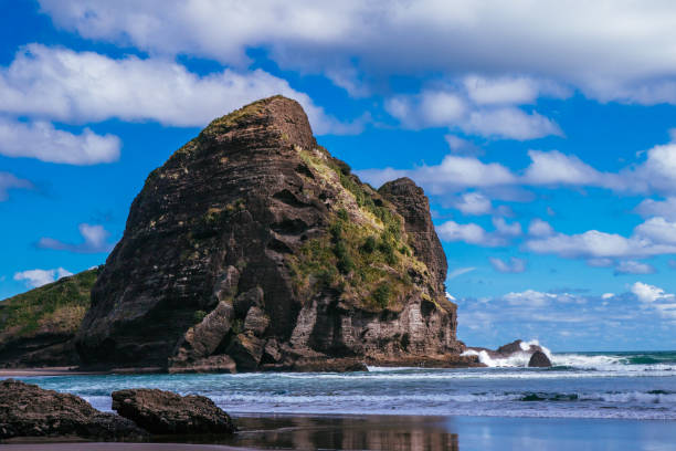 istock Piha, New Zealand 806785068