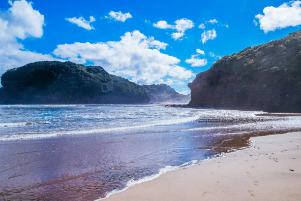 istock Bethells Beach, New Zealand 806785310