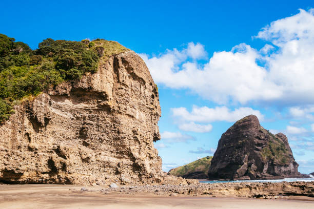 istock Piha, New Zealand 806785586