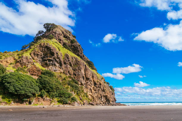 istock Lion Rock, Piha, New Zealand 806785596