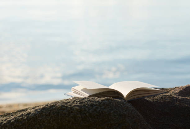 istock Open book on rock at beach with defocused sea background. 806801618