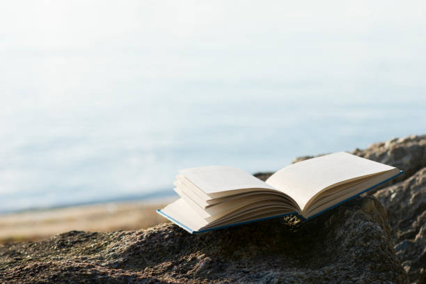 istock Open book on rock with defocused sea and beach in background. 806807758