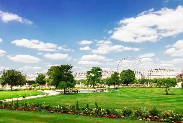 Tuileries garden at summer day, green lawn and blue sky with clouds, Paris France, retro toned