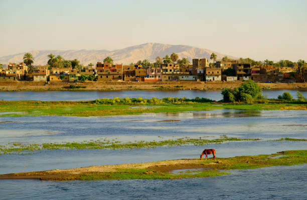 Nile River side of the pastoral scenery Nile River side of the pastoral scenery felucca boat stock pictures, royalty-free photos & images