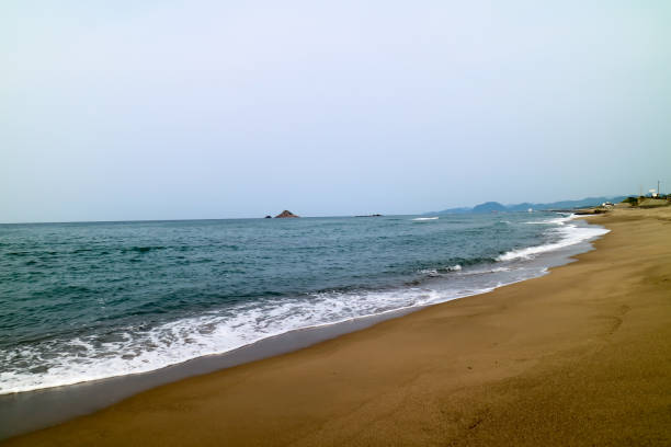 istock Tottori, the sea, white rabbit 806831936