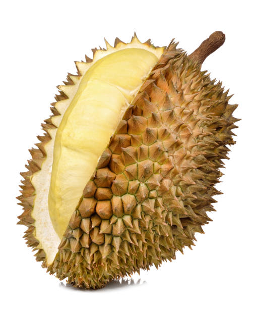 istock Durian isolated on the white background 806832372