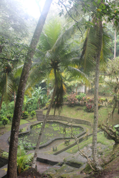 istock Bali Images Resubmission 806835072