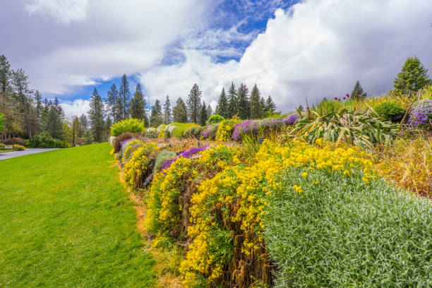 istock Colorful flowerbed in the park. 806846762