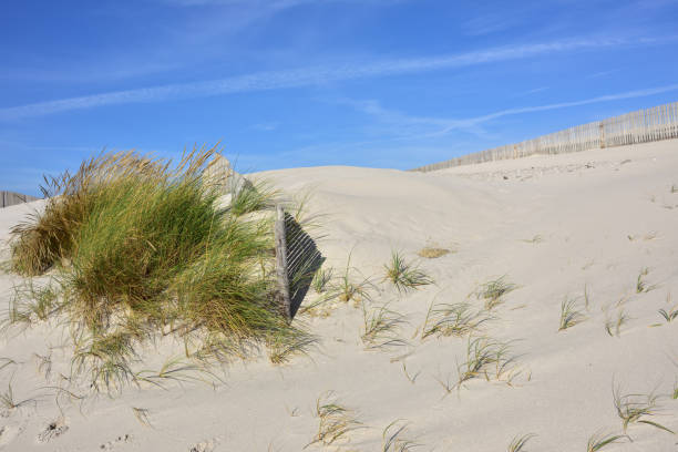 istock Costa Nova beach in Aveiro, Portugal 806854342