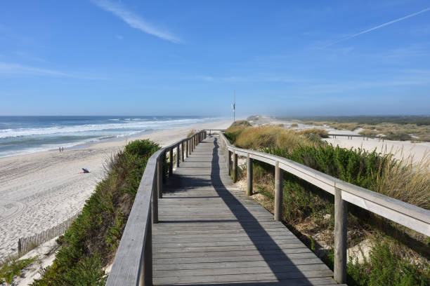 istock Atlantic Ocean, Costa Nova beach in Aveiro, Portugal 806854392
