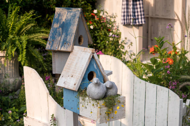 istock bird house in garden 806854584