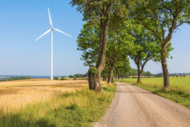 istock Dirt road through a lined with trees and a windmill in the cornfield 806854624