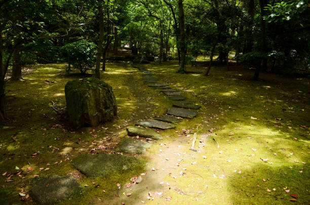 passeio com filtterded de luz solar através de árvores em verde tenro, kasumi park (narashino, chiba, japão) - footpath tree japan stepping stone - fotografias e filmes do acervo