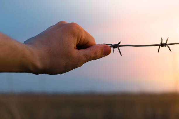istock Man's hand holds onto barbed wire 806857980