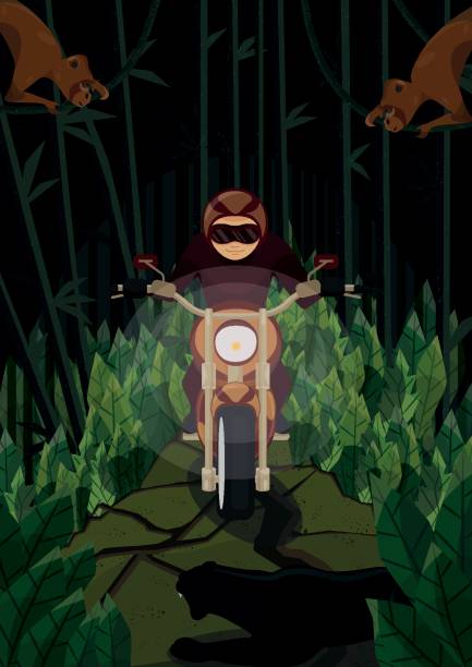 ein biker im dschungel - extreme sports adventure activity backgrounds stock-grafiken, -clipart, -cartoons und -symbole