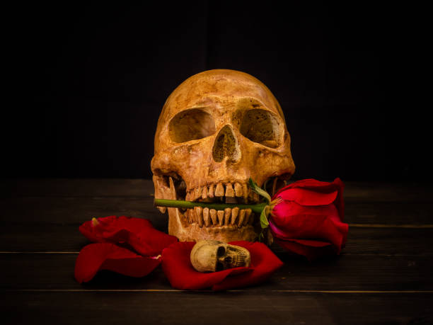 istock Still life of flowers and skull 806876268