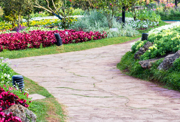 istock Pathway in the flower garden 806888188