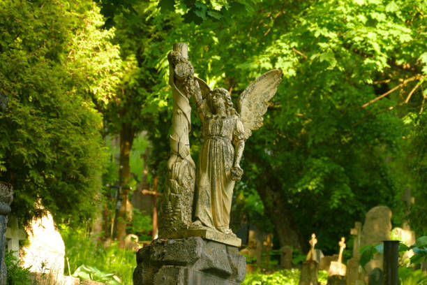 istock Crosses in Vilnius cemetery. 806900788