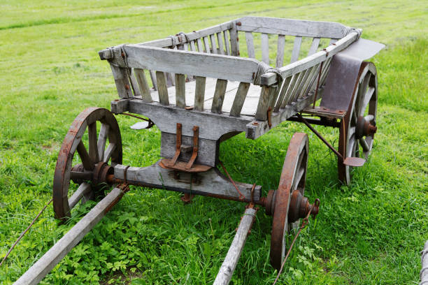 istock wooden cart on a meadow on a summer day 806901508