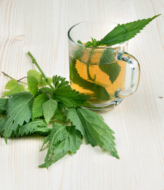 istock Nettle tea and some of nettle on the wooden table 806936534