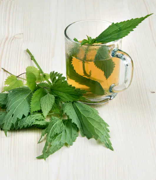 Nettle tea and some of nettle on the wood background leaves in the cup