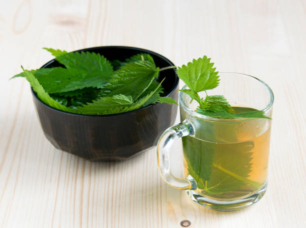 istock Nettle tea isolated on the wooden table 806936634