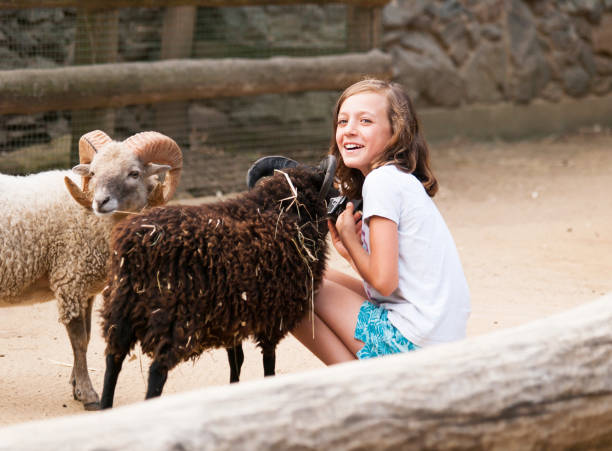 istock Girl craddle goats in farm 806946950