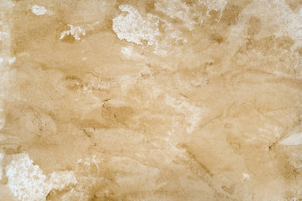 istock Old sheet of paper 806950096