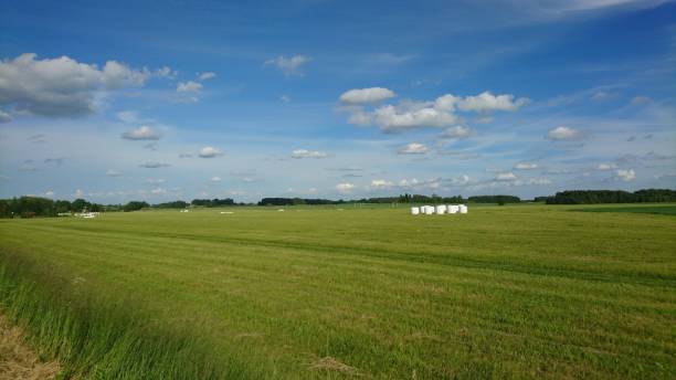 istock Landscape with rolled grass and beautiful sky in windy day 806950134