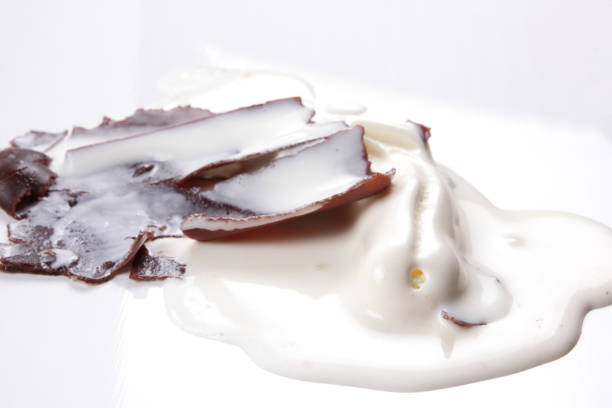istock Warm ice cream for children 806971362