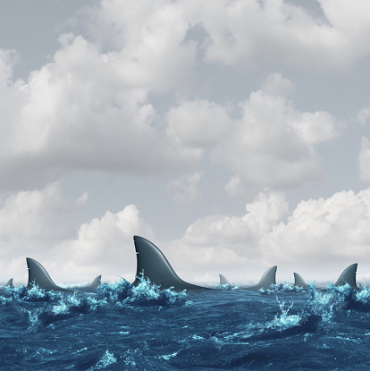 Shark infested waters background as a business concept representing the symbol of fear and risk or predatory preying as a group of dangerous sharks in the ocean or sea with 3D illustration elements.