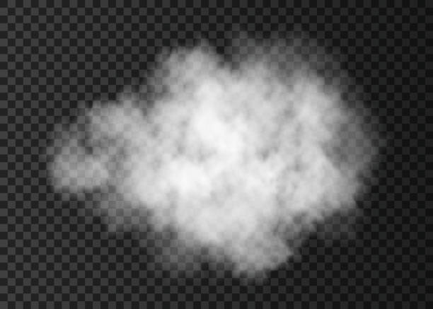 Realistic white  smoke cloud  isolated on transparent background. White  smoke cloud  isolated on transparent background.  Fire steam explosion special effect.  Realistic  vector  fog or mist texture . cumulus stock illustrations