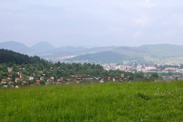 istock Green meadow with trees and views to mountains. 806982738