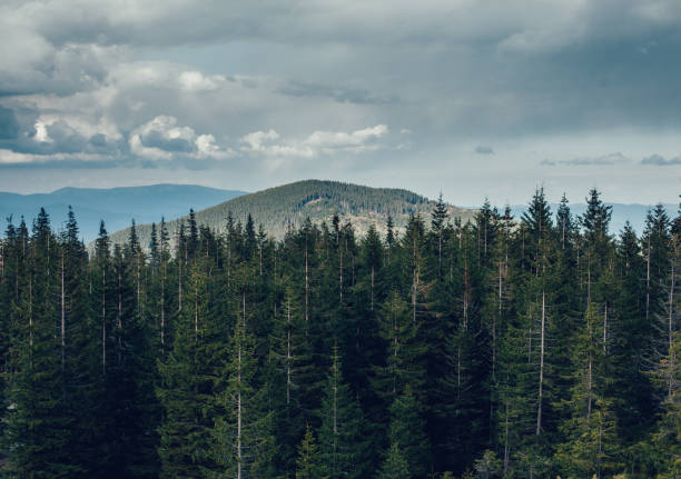 istock landscape in mountains Carpathians Ukraine 806984974
