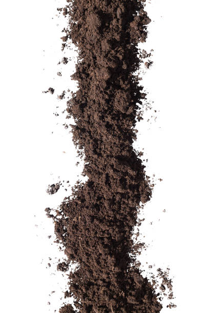 istock Pile of soil 806985804