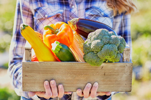 istock Woman holding crate with vegetables on farm 806988570