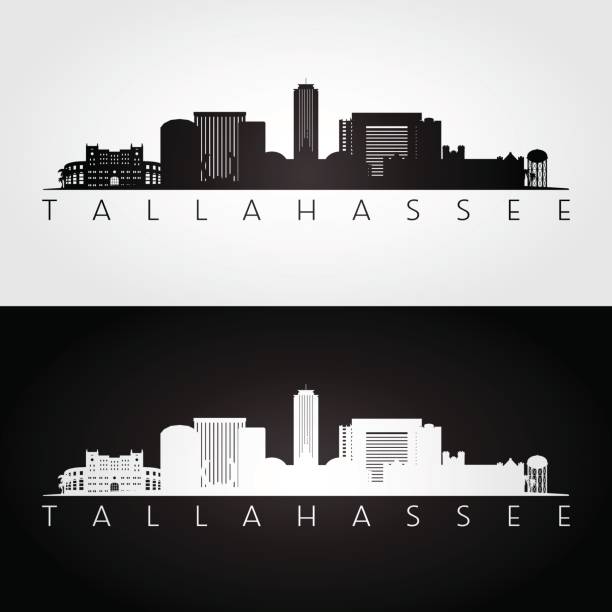 Tallahassee USA skyline and landmarks silhouette, black and white design. Tallahassee USA skyline and landmarks silhouette, black and white design, vector illustration. tallahassee stock illustrations