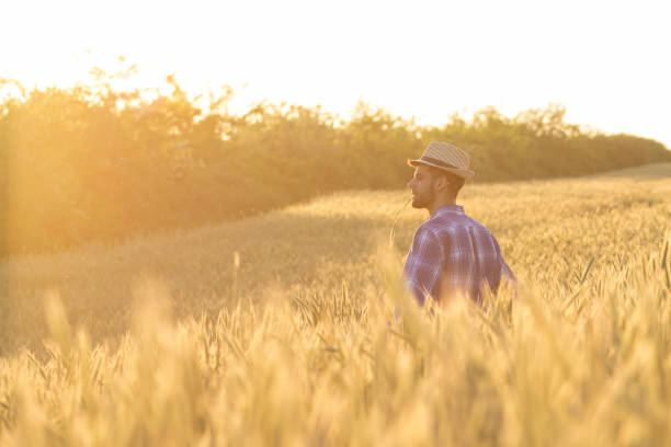 Young man with hat in the middle of the field at the end of day