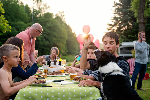 Big family barbecue gathering at sunset, summer outdoors. Celebration time for this three generation real family outdoors in summer. Big dinner is ready, people coming to the table. Young man feeding the dog. Horizontal waist up shot with copy space. This was taken in Quebec, Canada. big family sunset stock pictures, royalty-free photos & images