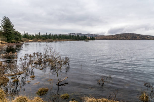 istock Loch Braden shoreline  in the winter. 807017032