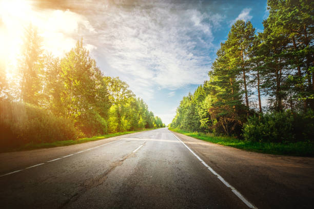 istock Sunrise beautiful road in forest 807025342