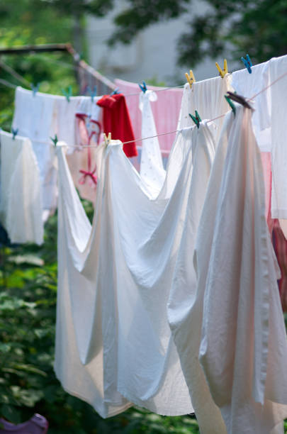 istock Laundry line with clothes line in garden 807025846