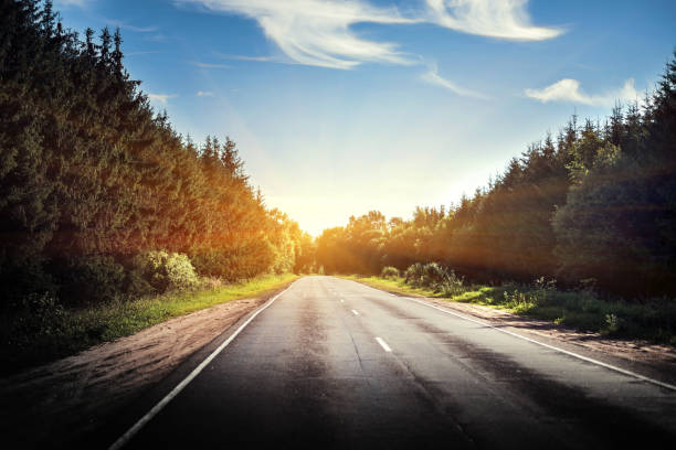 istock Sunrise beautiful road in forest 807026108