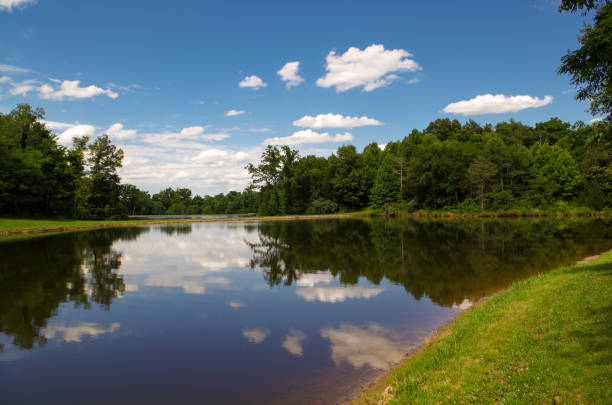 istock Landscape of a Lake 807028062
