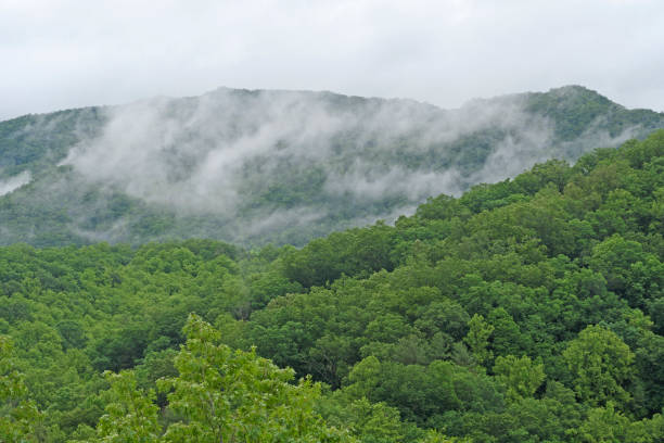 istock Morning Mist in the Smoky Mountains 807029090