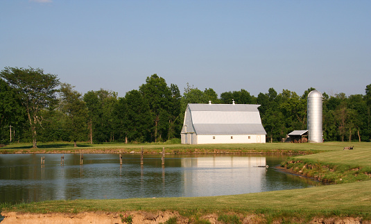 A farm landscape with a barn and silo by a lake.