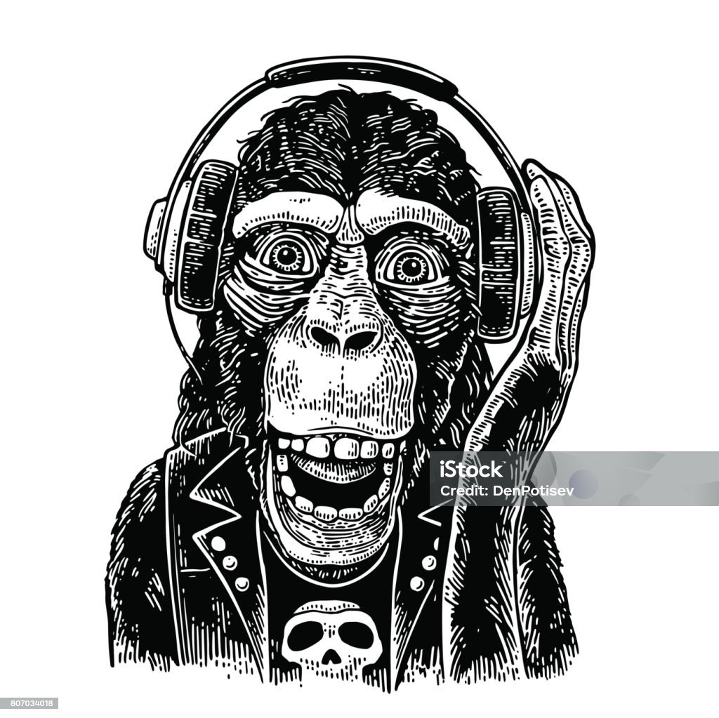 Monkey rocker in headphones and t-shirt with skull. Vintage engraving Monkey rocker in headphones and t-shirt with skull. Vintage black engraving illustration for poster. Isolated on white background Ape stock vector